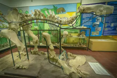 Museo de Ciencias Naturales Pachamama