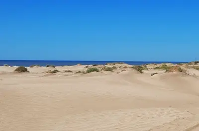 Aventura entre dunas y laguna