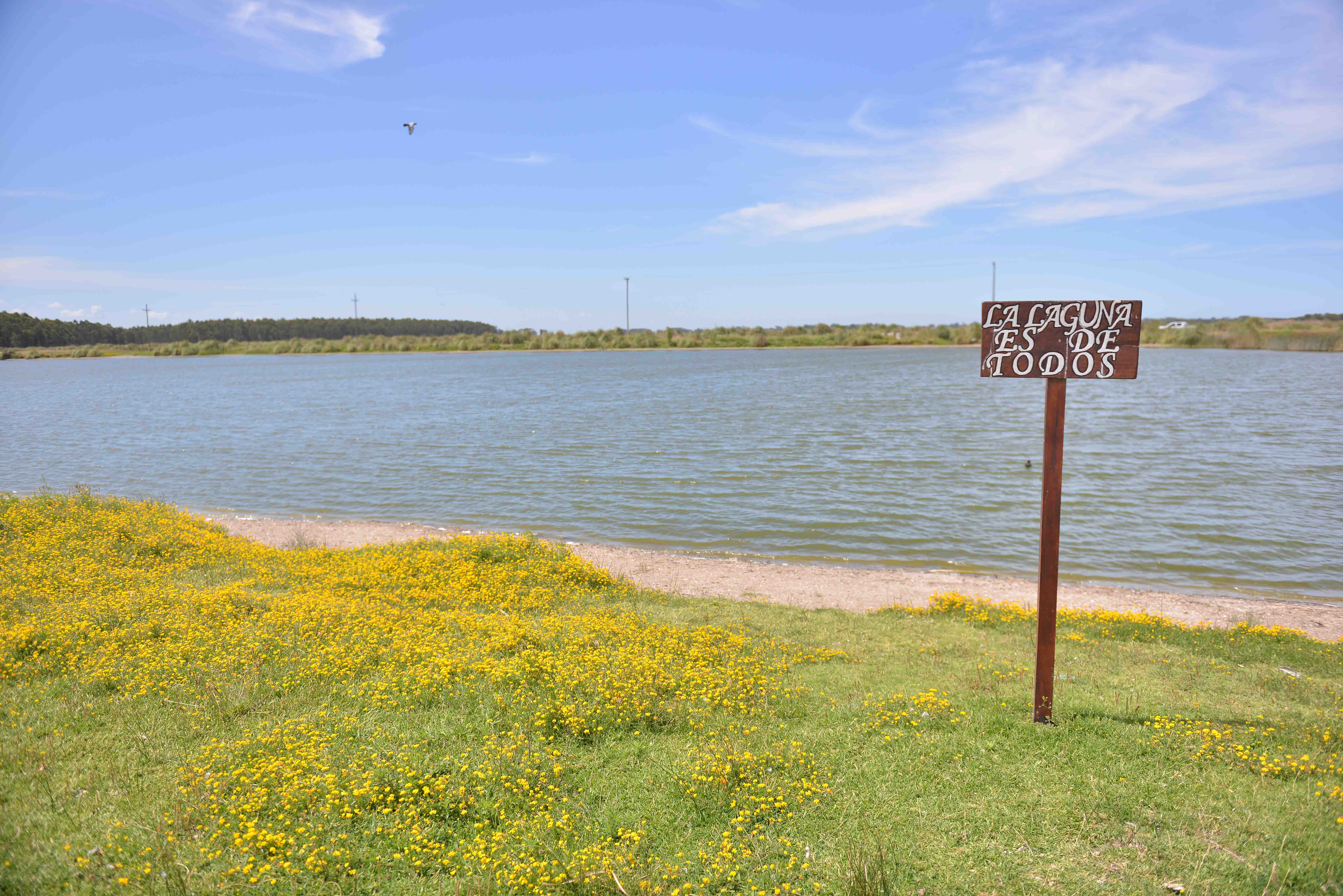 Sendero Parque Lago