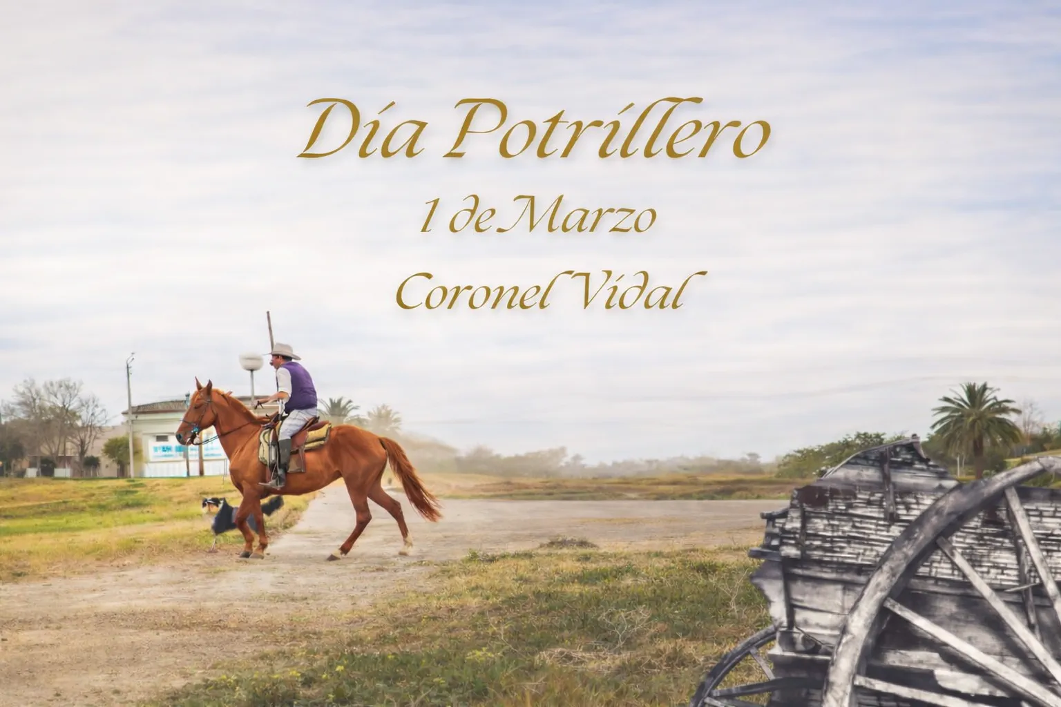 Día Potrillero - 1° de Marzo
