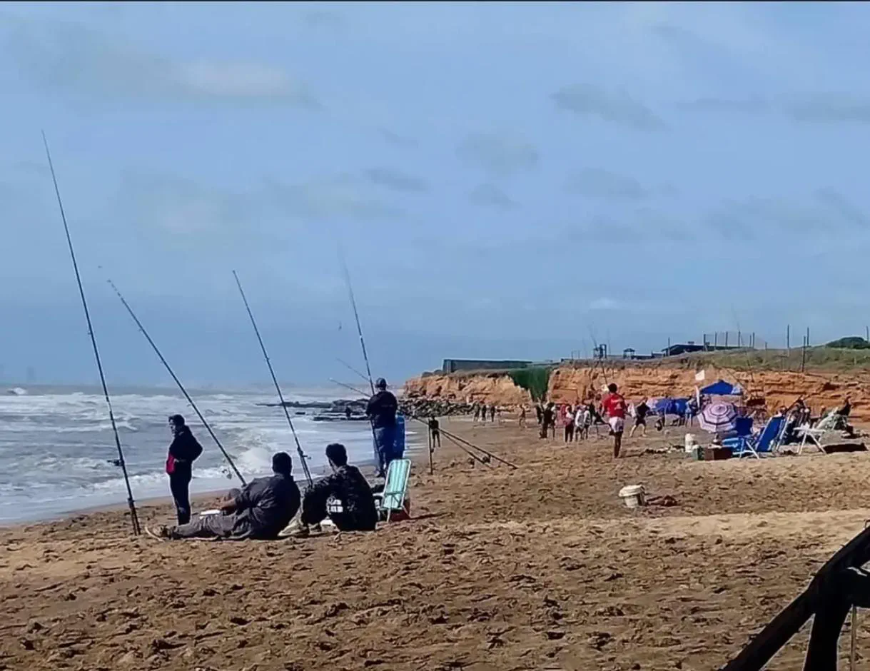 Camarón Brujo Pesca Embarcado