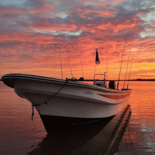 La Albufera Pesca Embarcado