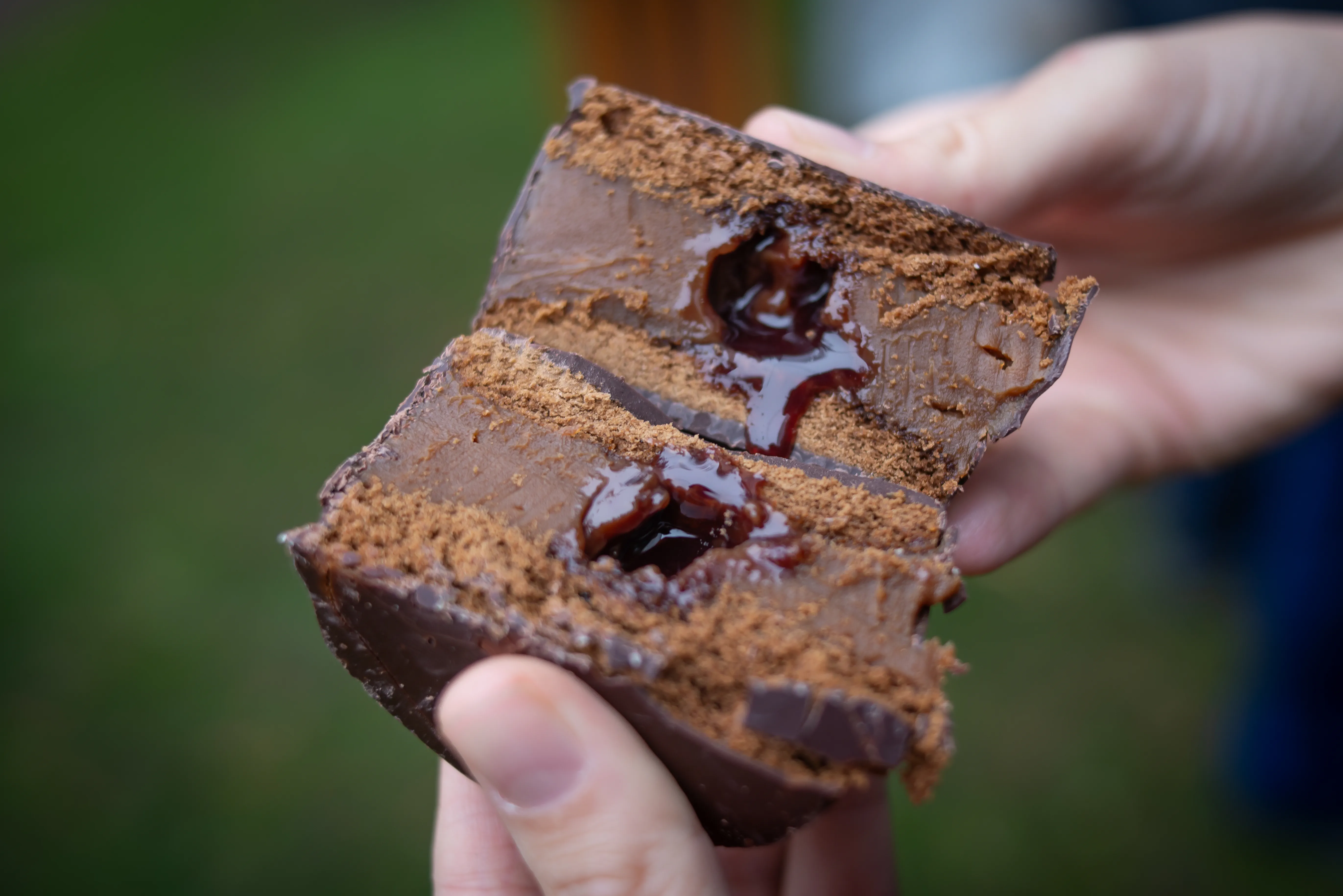 Fiesta Itinerante del Chocolate y el Alfajor