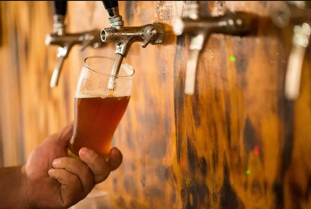 Fiesta Nacional de la Cerveza Artesanal