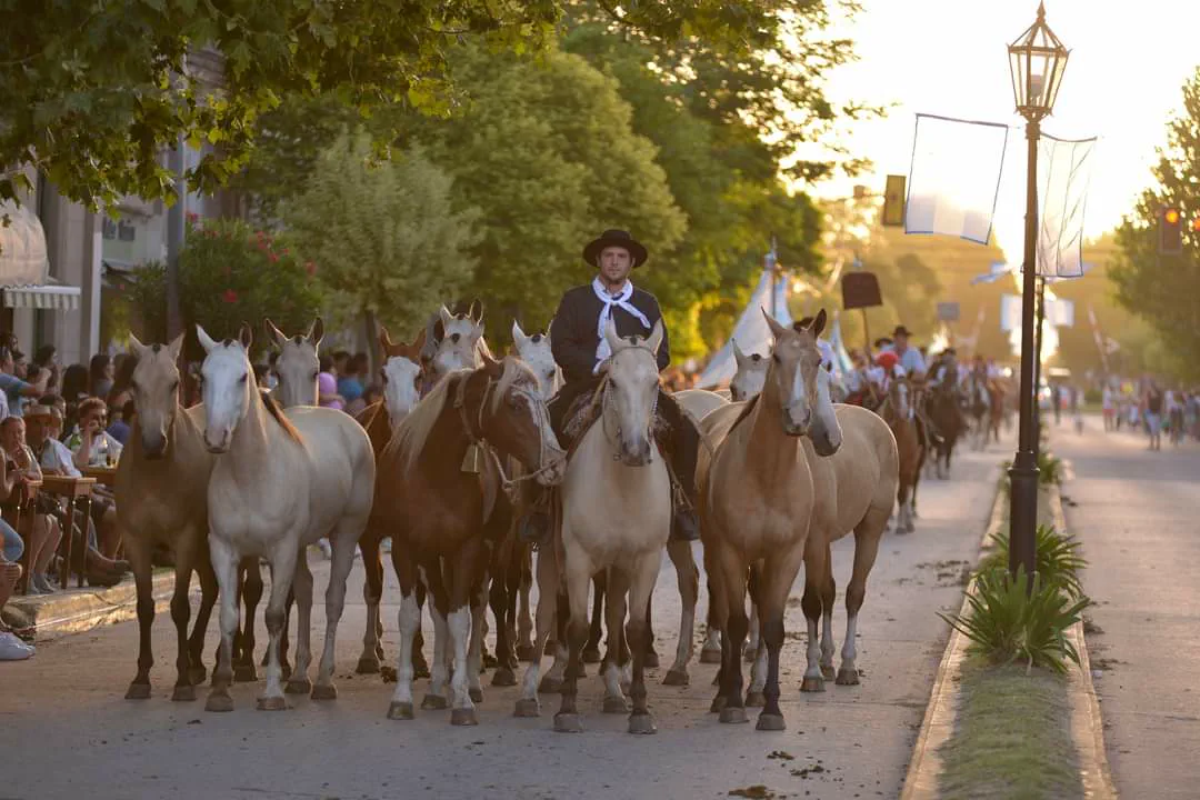 Fiesta Nacional del Potrillo