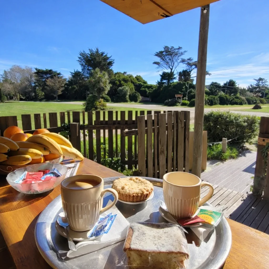 Aristóbulo Café